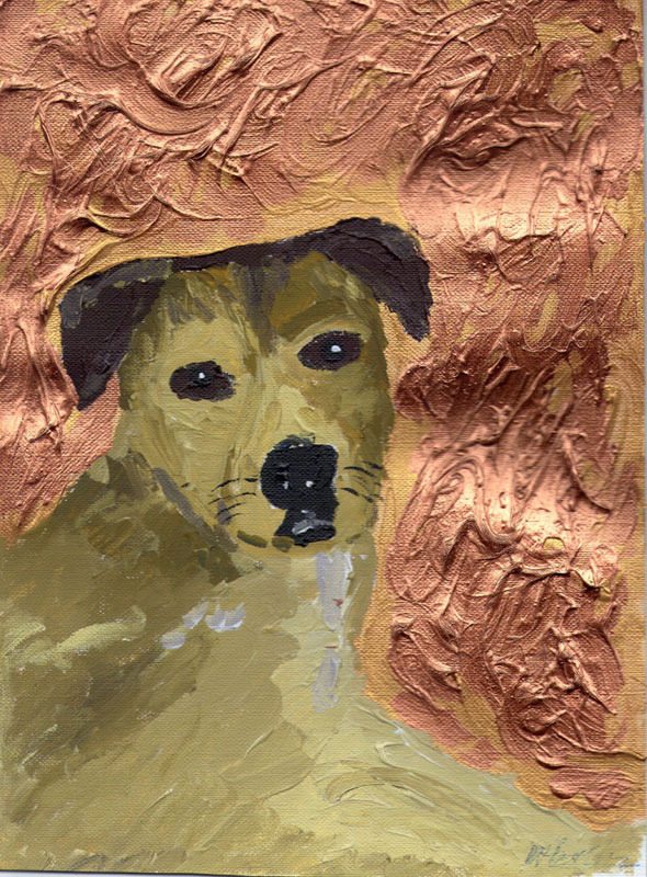 Bodhi Jose, dog Bodhi Jose, dog