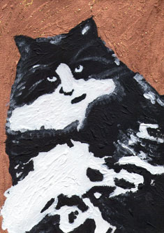 Whiskey the Cat